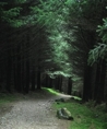 p2005 05d 016m