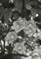 p2005 04a 016m