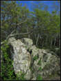 p2012 05 c500 1096m