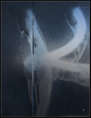 p2012 07 c500 1456m